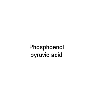 Phosphoenol pyruvic acid